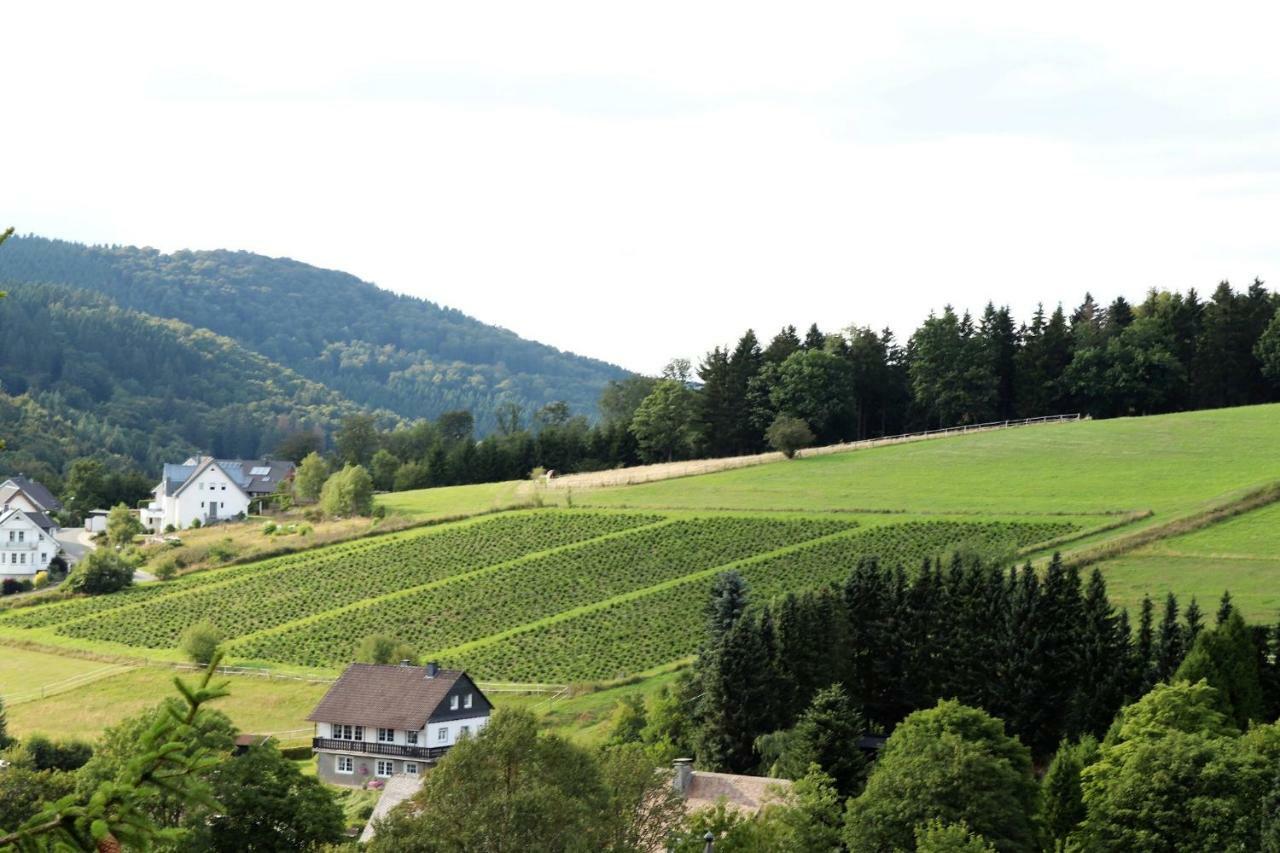 Hotel Gretel Von Birne Winterberg Exterior foto